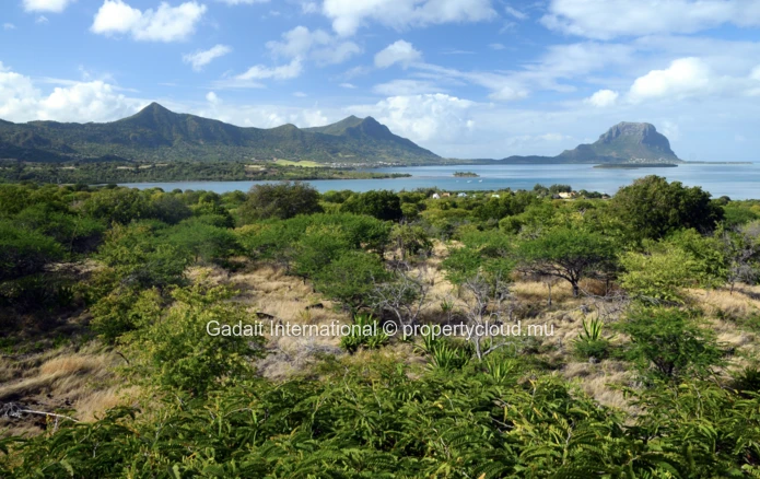 Harmonie Golf & Beach Estate : un havre tropical d'exception à l'Île Maurice