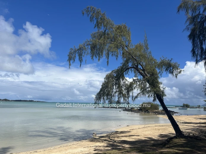 Appartement 3 chambres Viva Calodyne – Immobilier de prestige à l'île Maurice