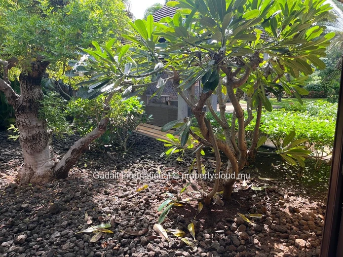 Furnished Single-Storey Villa with Private Pool for Sale | Tamarina Golf Resort, Mauritius