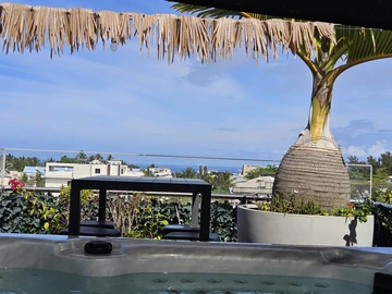 2 Bedroom Penthouse