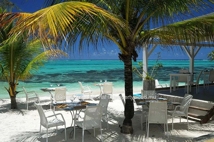 Villa Tropicale Pointe d'Esny – Villa 3 chambres avec piscine et grand jardin