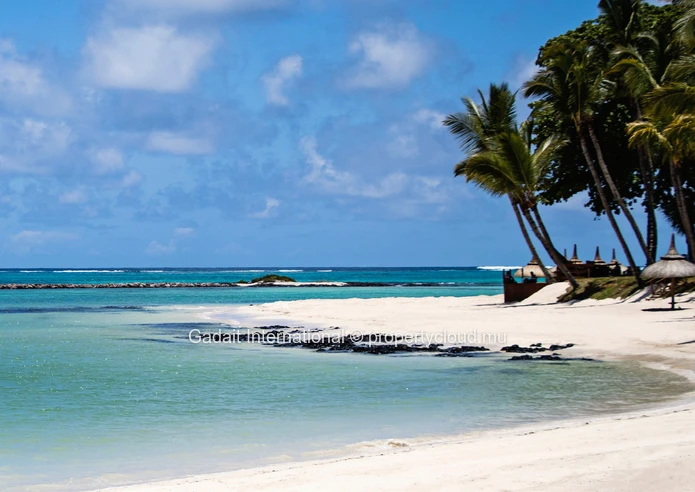 Tropical Elegance Redefined with this Waterfront Villa in Mauritius