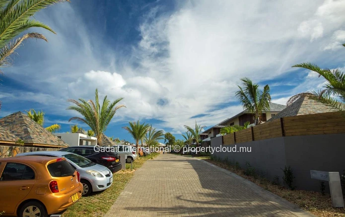 Villa with private pool and tropical garden for sale | Black River