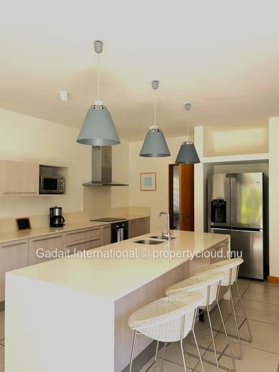 Villa with private pool and tropical garden for sale | Black River