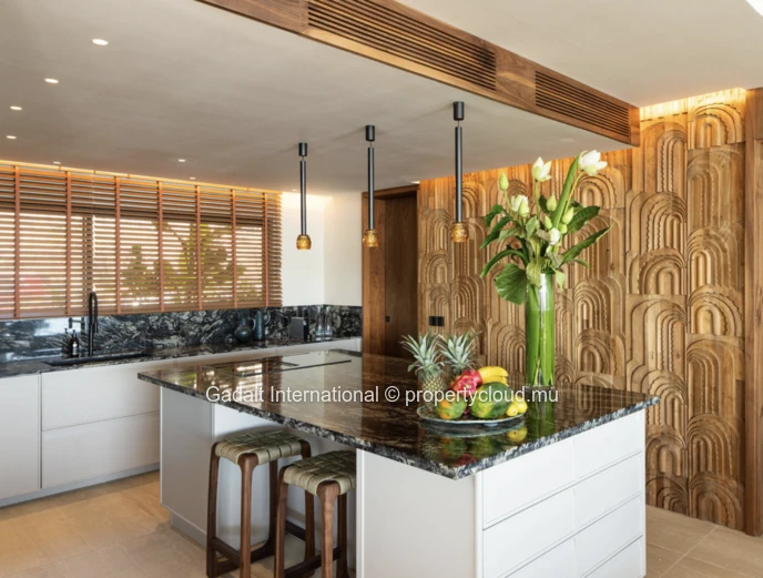 Luxury Penthouse in Mauritius | Panoramic Ocean View – Black River