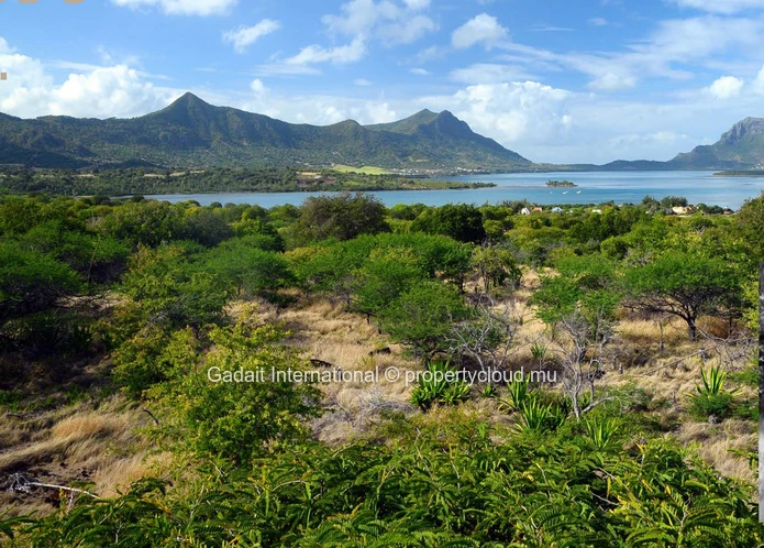 Harmonie Golf & Beach Estate – L'Excellence de l'Architecture Bioclimatique