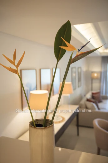 Velvet 1202 : Appartement avec accès rivière & piscine privée à Beau Champ